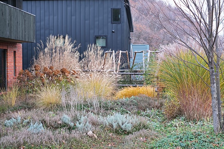 札幌のハーブとグラスのガーデンの11月中旬頃 風情のある枯れ庭になる