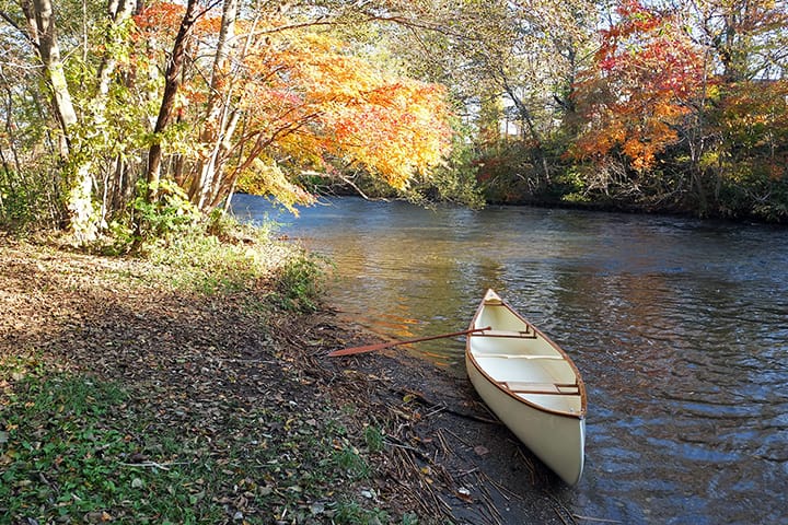 紅葉の千歳川の岸辺にカヌー(カナディアンカヌー)をつける