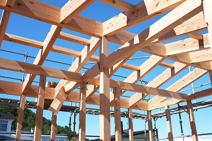 道南杉の柱と梁が組み上がる